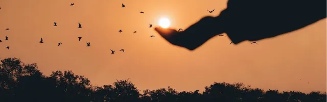 Utmattningsträsket och varför jag vill hjälpa fler upp ur det!