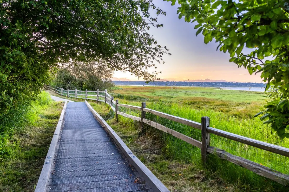 summer family photos