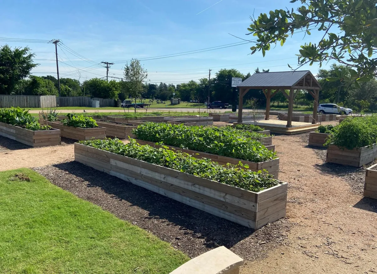 Discovering the Garland Community Garden: A Hidden Gem in the Heart of Texas