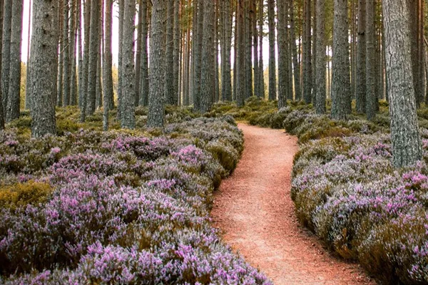 How Clarity in Your Messaging Can Instantly Boost Sales and Conversions