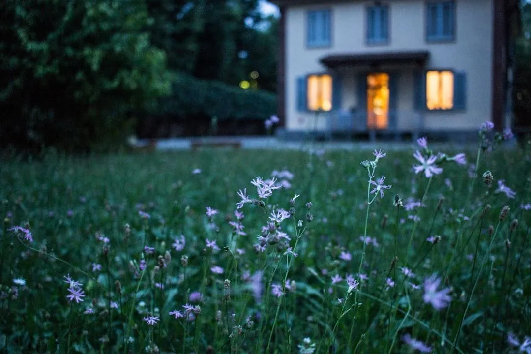 Exterior Home Maintenance and Outdoor Upgrades for April