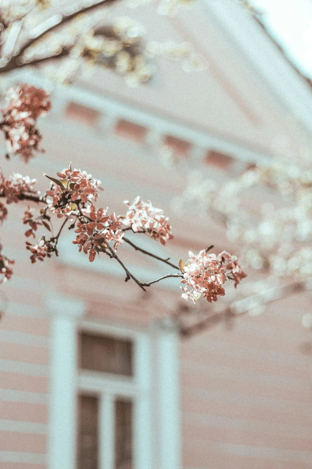 Get Your Home Spring-Ready This March
