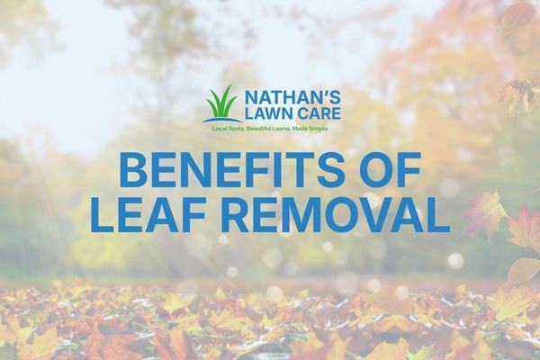 The Benefits of Leaf Removal for a Healthy Lawn | Nathan’s Lawn Care