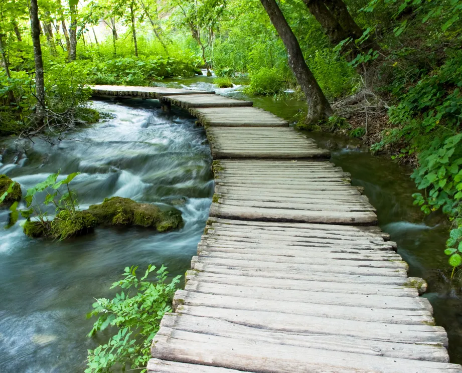 Path to the answer of procrastination