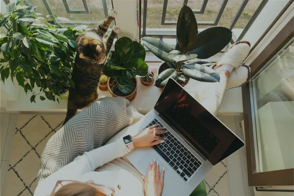 Why Automation and AI Are the New Must Have for Small Business Growth