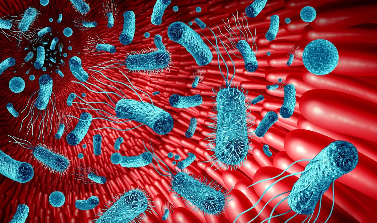 Das Darmmikrobiom wichtig für biologisches Alter