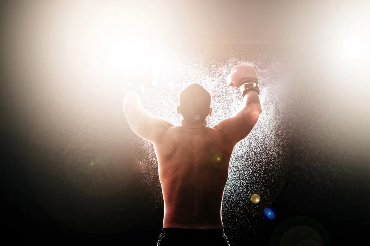 A boxer