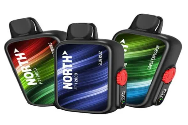 What Vapers Are Saying About the North FT12000?