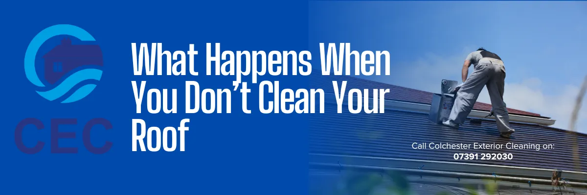 Why You Should Get Your Roof Cleaned