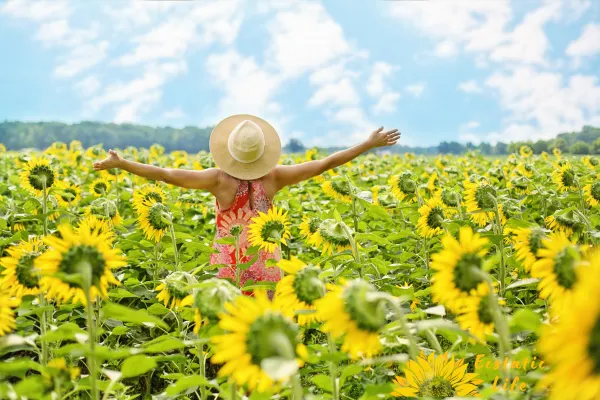 How to Grow More Joy in Your Life: Stop Worshiping Your Worries.