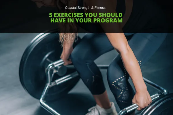 5 Exercises You Should Have in Your Program