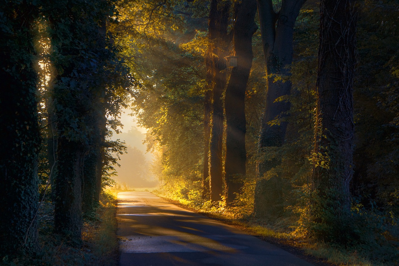 In Search of Meaning: How a Purpose Can Transform Your Life