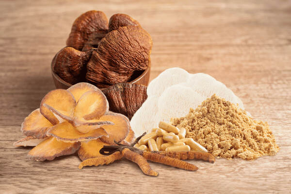 Mushroom Products | House of Pipes