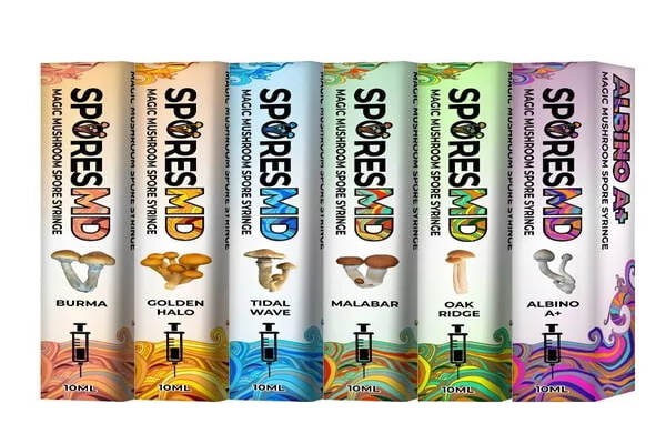 Mushroom Products | House of Pipes