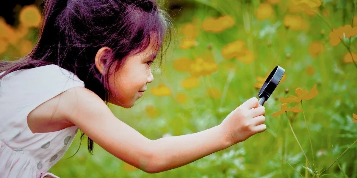 summer stem activities