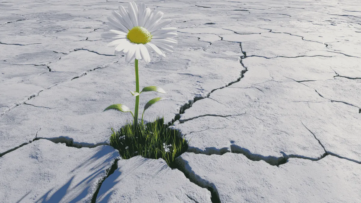 Stress Resilience: How to Adapt, Recover, and Regulate in a Busy Life