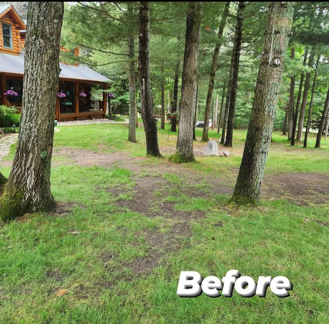 A lawn before Landworks begins the restoration