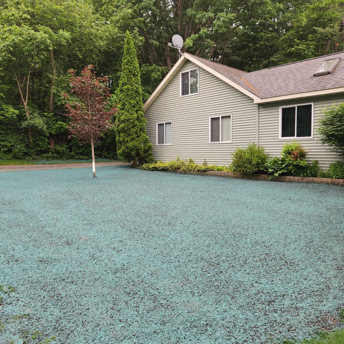 A freshly hydroseeded lawn