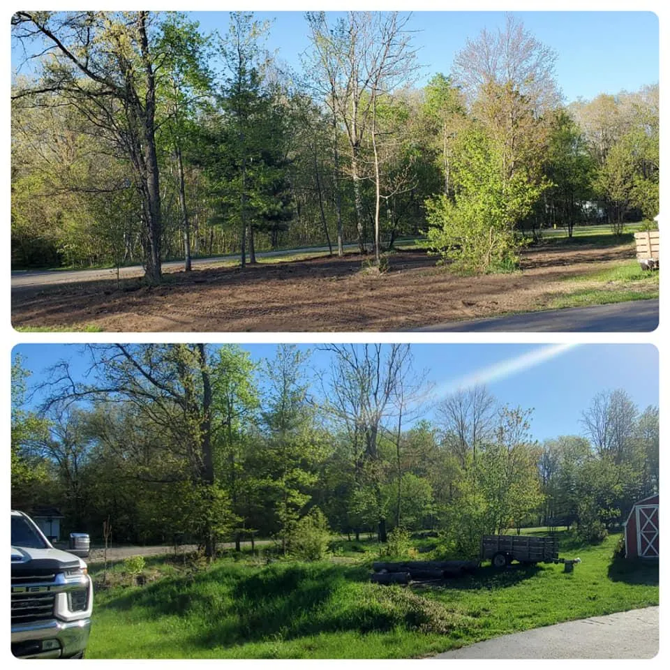 An impressive before and after image of a landscape restoration