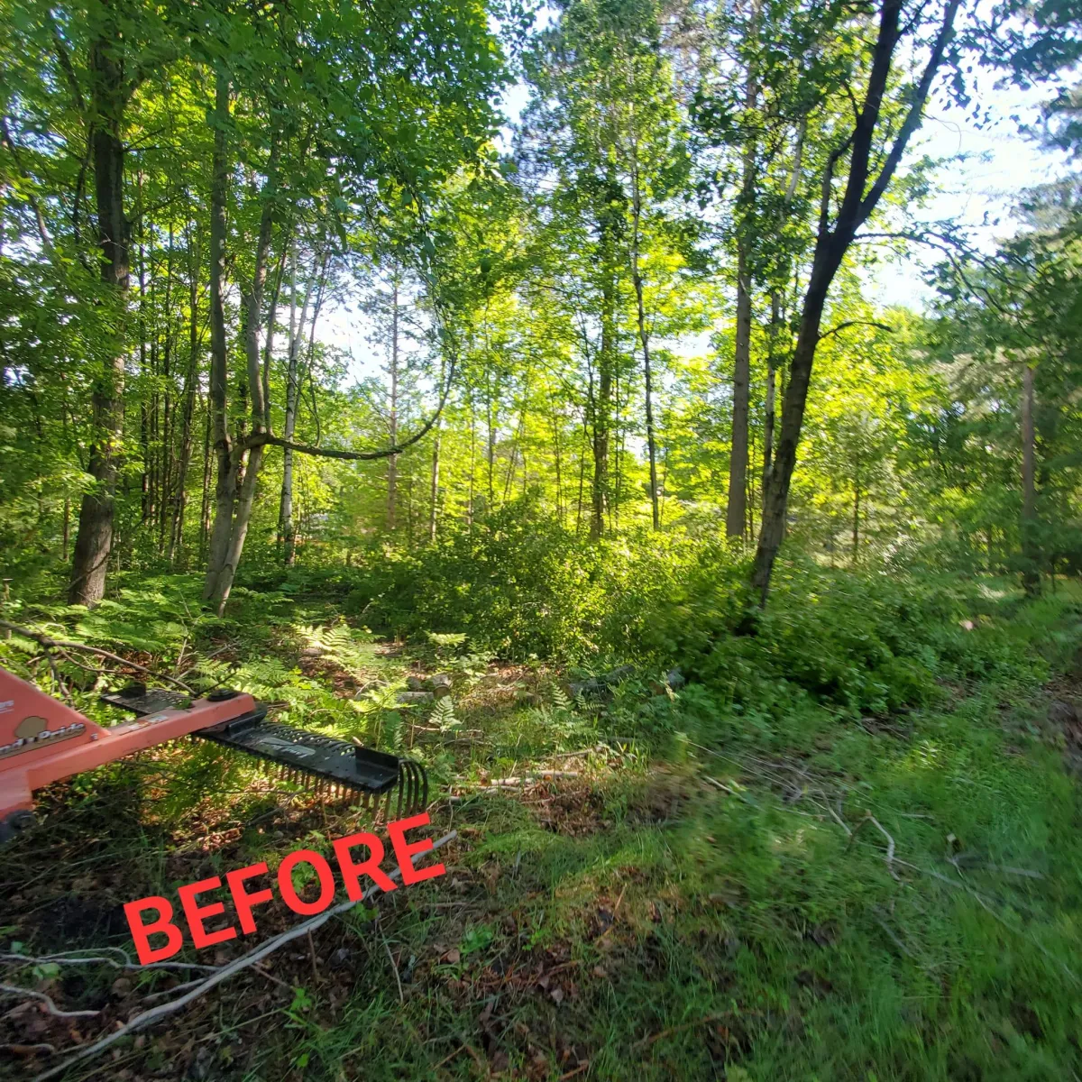 Before Landworks began a necessary landscaping project