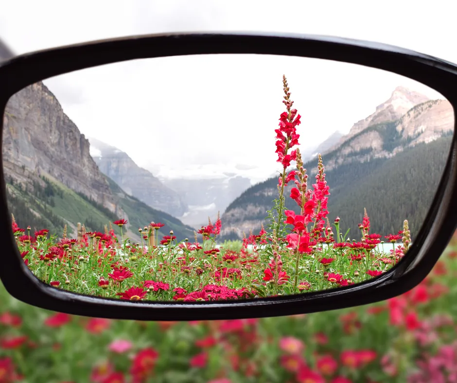 A close-up view of vibrant red flowers in sharp focus through a lens, with blurred flowers and majestic mountain scenery in the background, symbolizing clarity and focus amidst distractions.