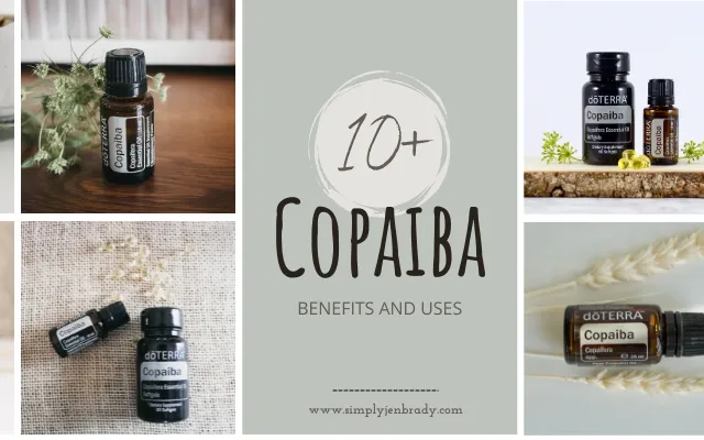 10 uses and benefits of Copaiba essential oil