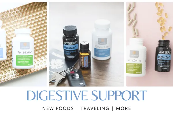 Uses and benefits of DigestZen