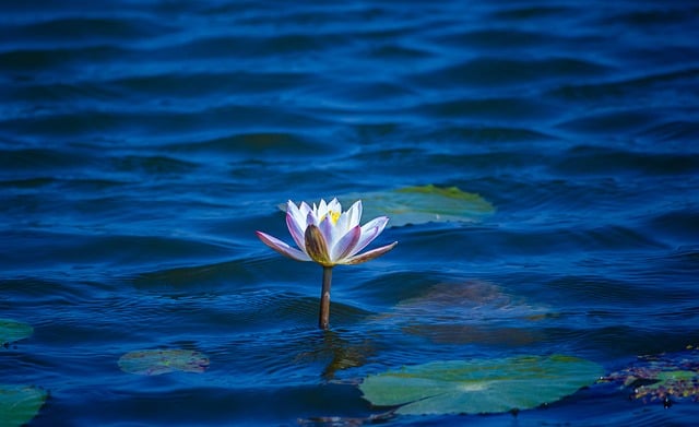 How Retirement Timing Affects Long-Term Planning