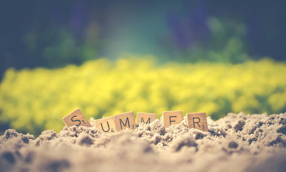 Emotional Regulation in the Summer: Staying Grounded When Everything Feels a Bit Too Much