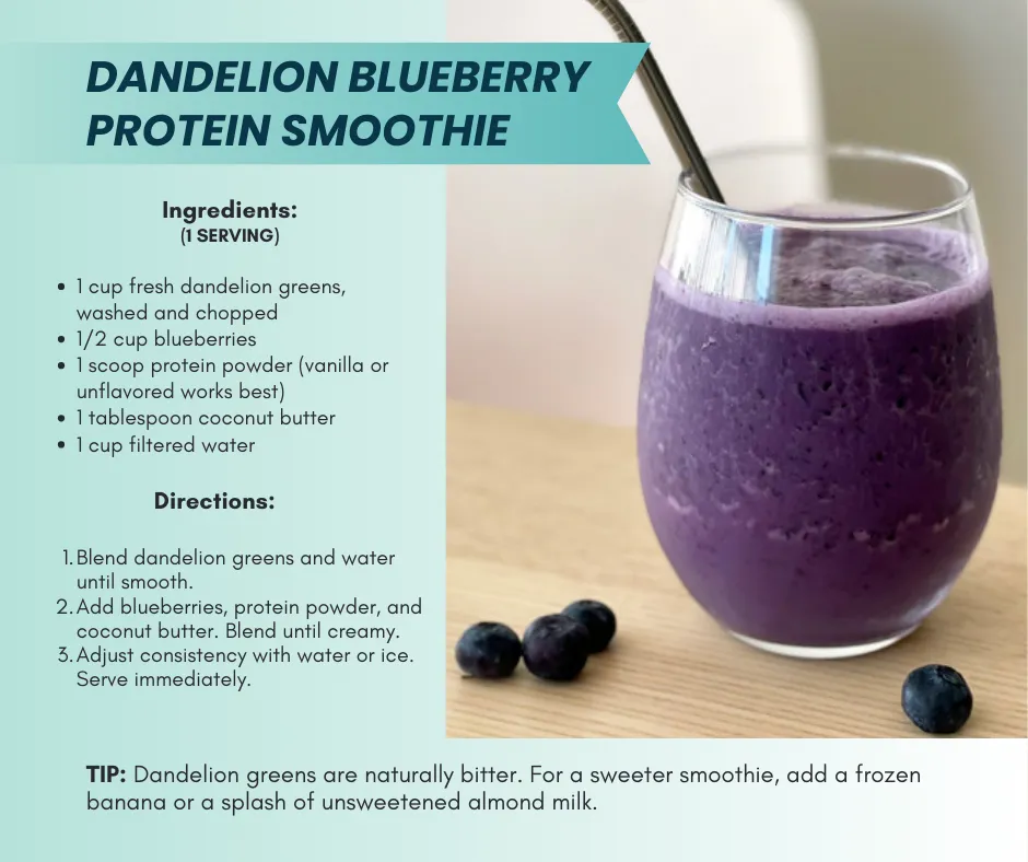 Dandelion blueberry protein smoothie with ingredients and instructions