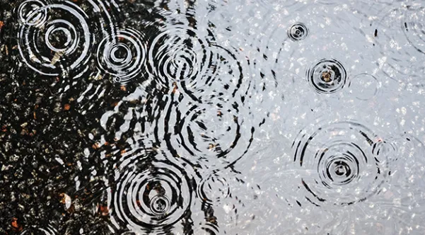rain in bakersfield