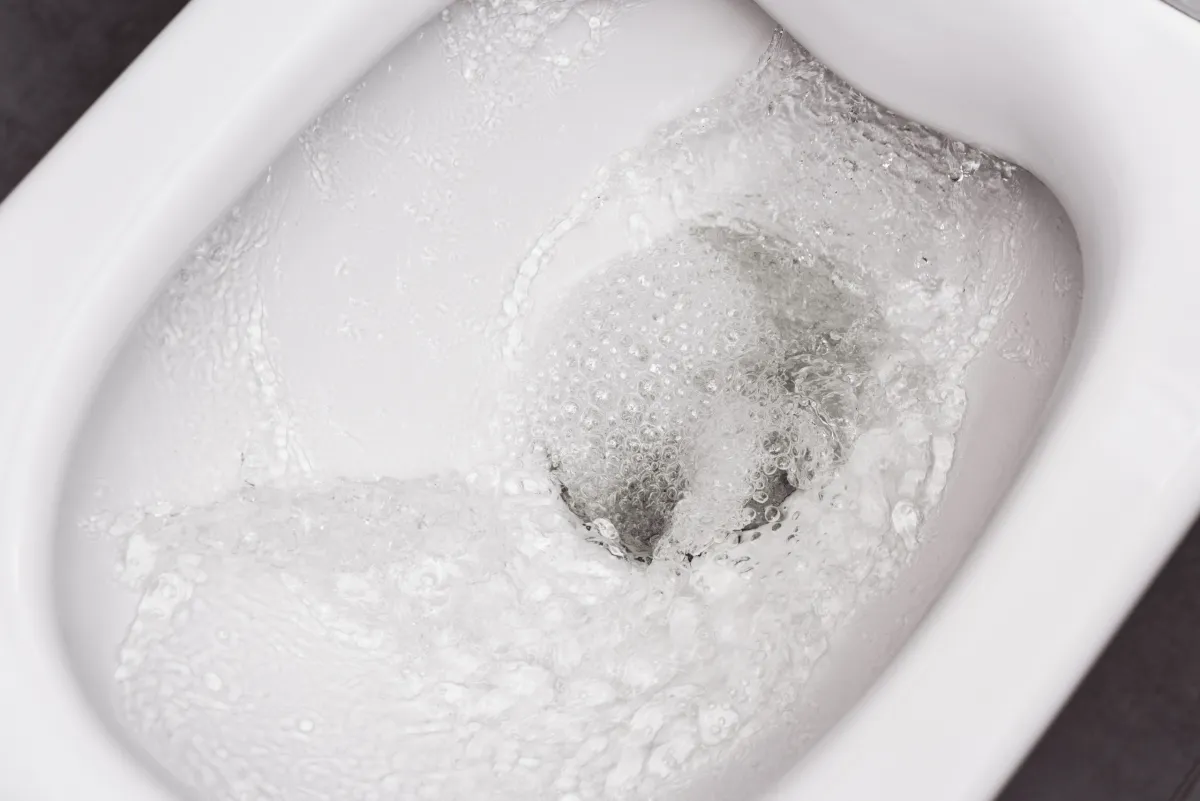 gurgling and bubbling toilet