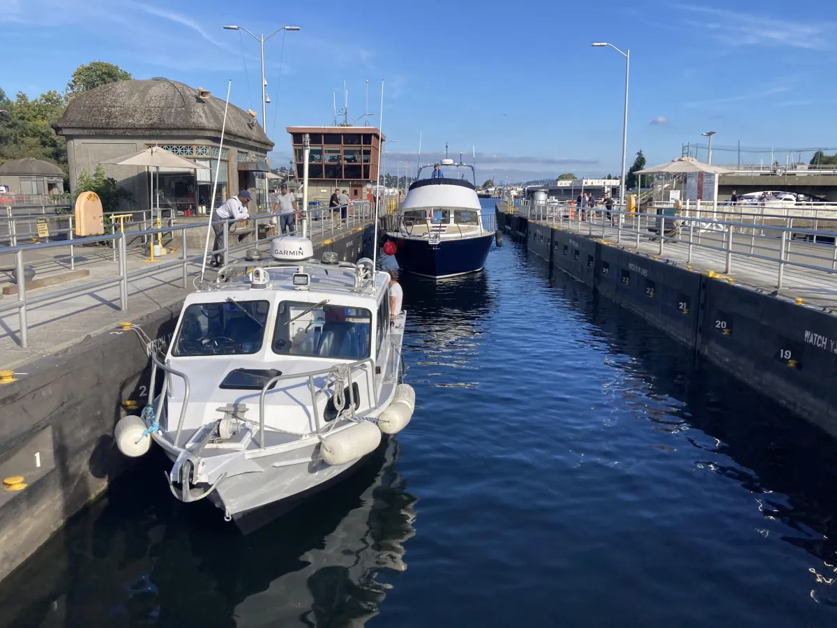 Ballard Locks and Fish Ladder: A Unique Engineering Marvel in Seattle