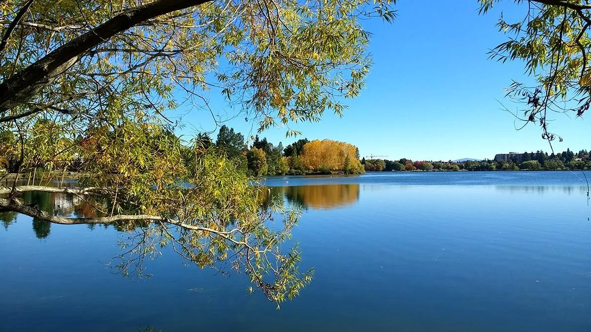 Green Lake Park: Seattle’s Ultimate Outdoor Playground