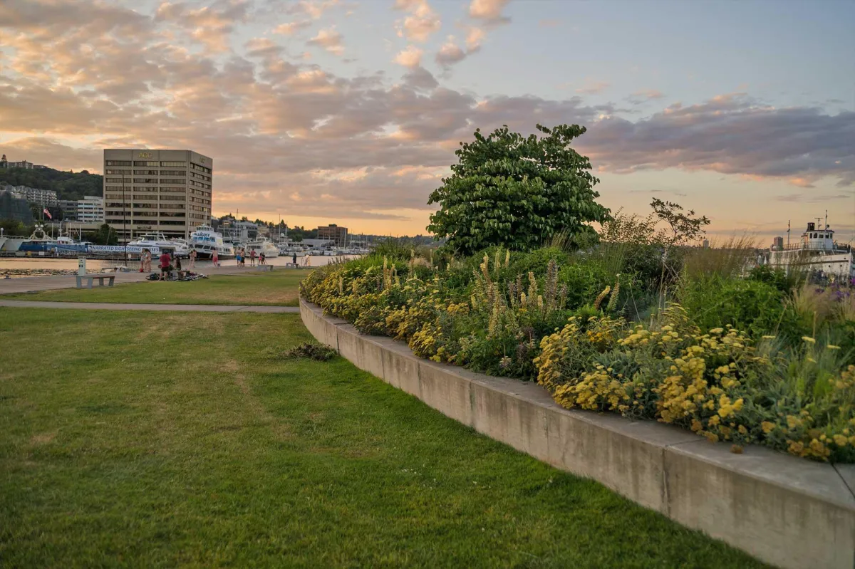 Lake Union Park: Seattle’s Waterfront Escape with a View
