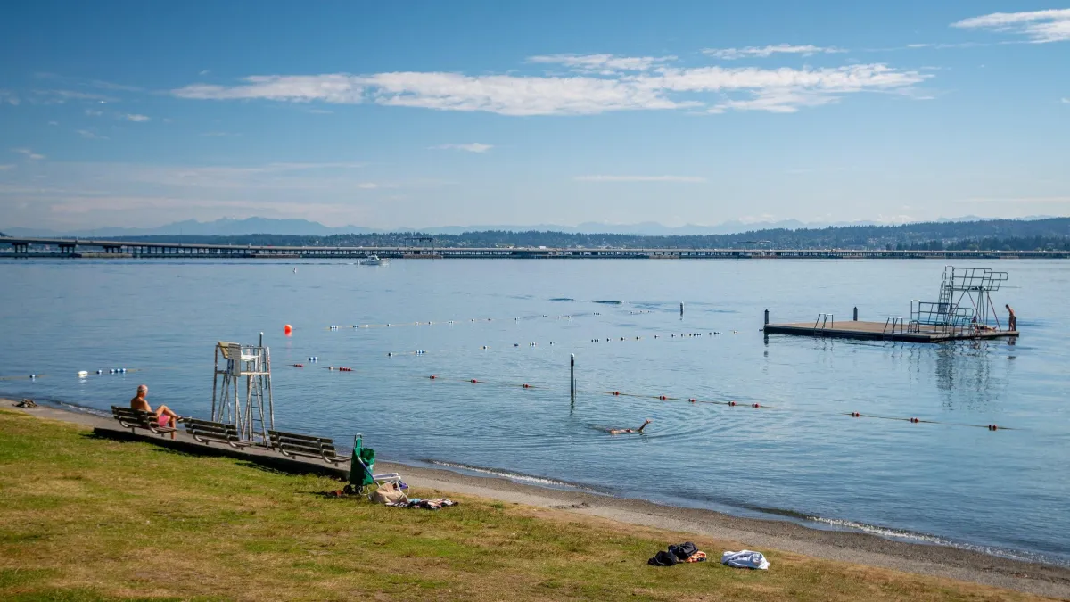 Sun, Views & Chill Vibes: Your Perfect Day at Madison Park Beach in Seattle