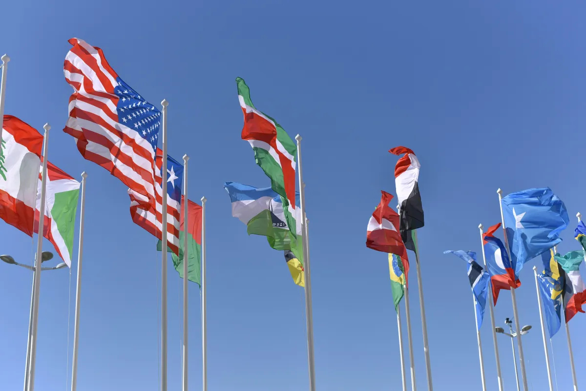 Geopolitical Realignments: Implications for Global Investors in 2025