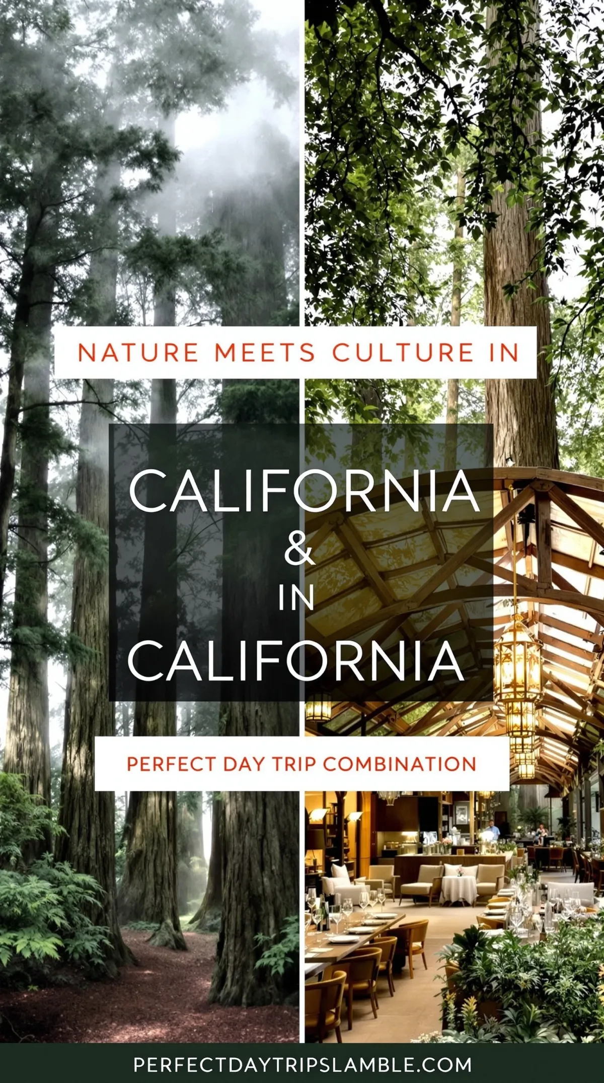 From Ancient Giants to Liquid Gold: Your Ultimate Redwoods & Wine Country Adventure