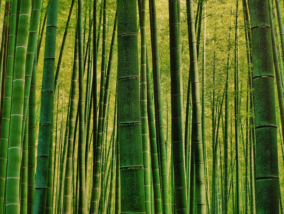 Bamboo Art