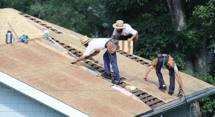 Top Seasonal Home Maintenance Tips to Avoid Expensive Repairs