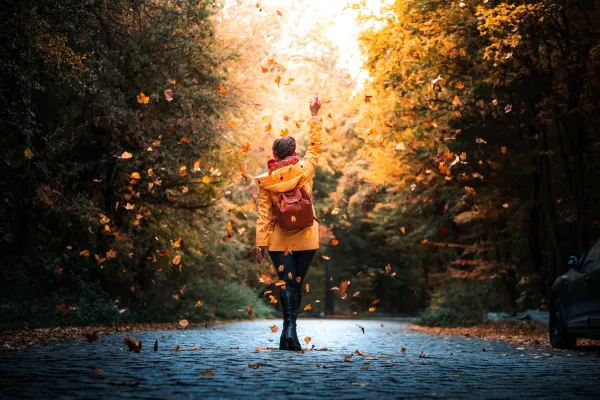 Manifest & Align: Setting Intentions for Fall