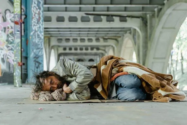 Issue 1 : Understanding Veteran Homelessness