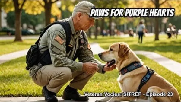 Expanding Horizons: The Impact of Service Dogs on Veterans' Lives