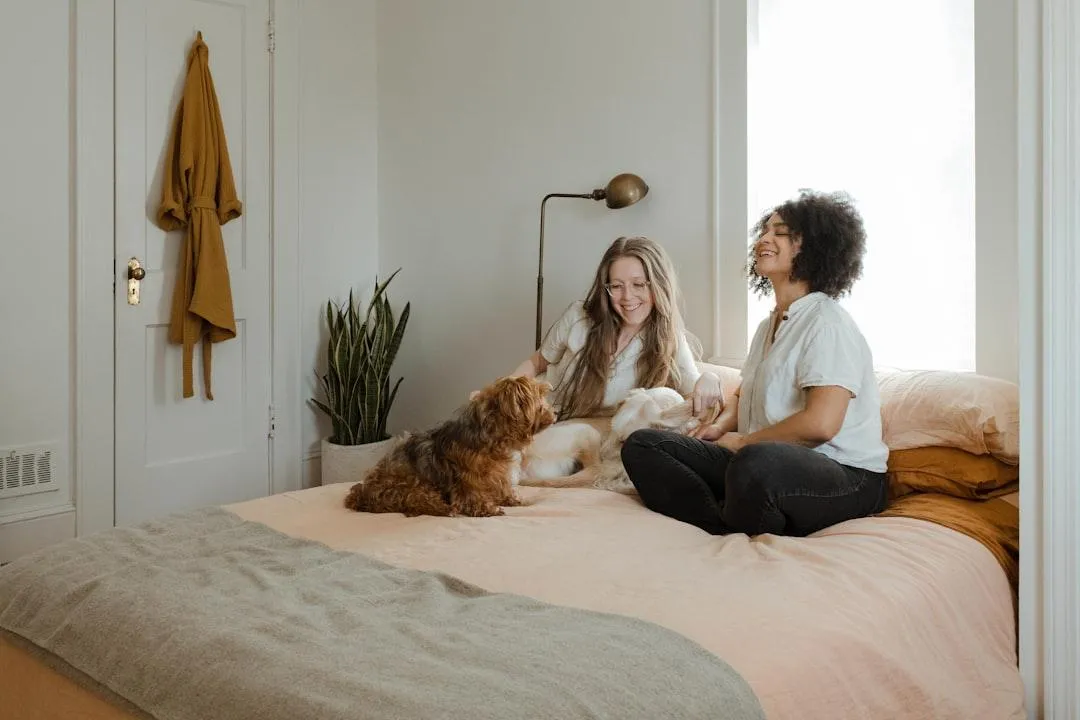 busting-the-myth-your-down-payment-should-be-20