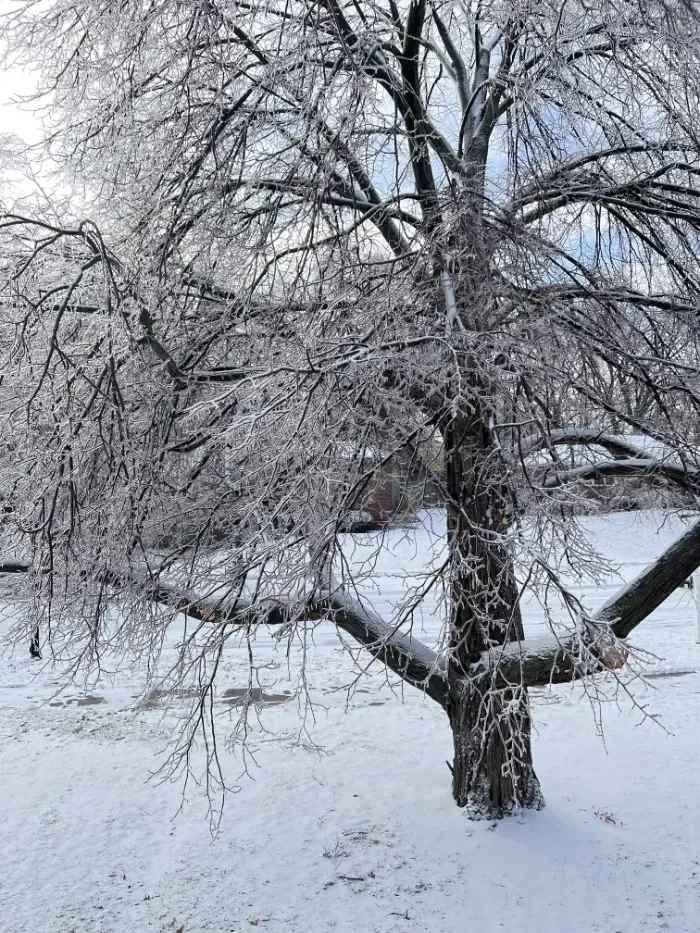 Moving in the Winter Months