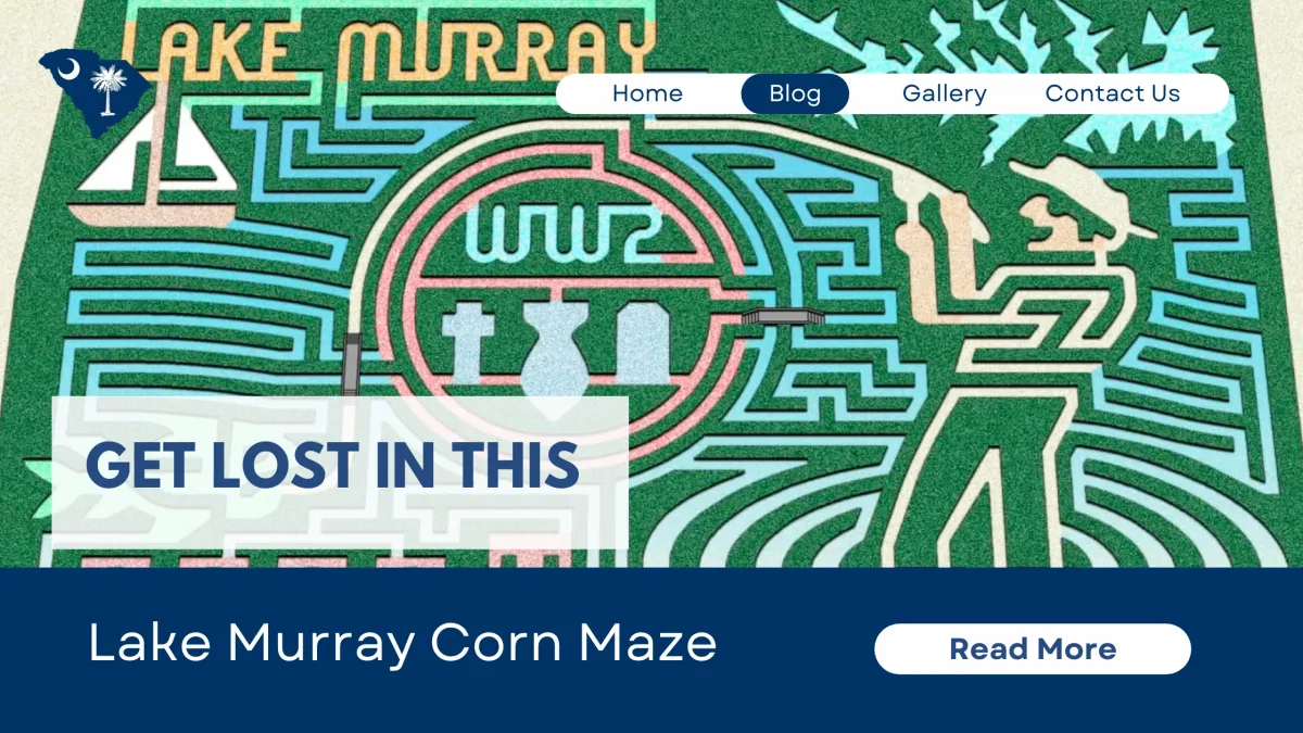 Get Lost In This Lake Murray Corn Maze