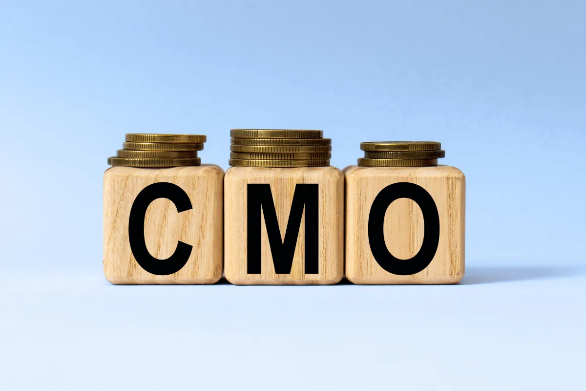 Fractional CMOs: Why and When Your Business Needs One