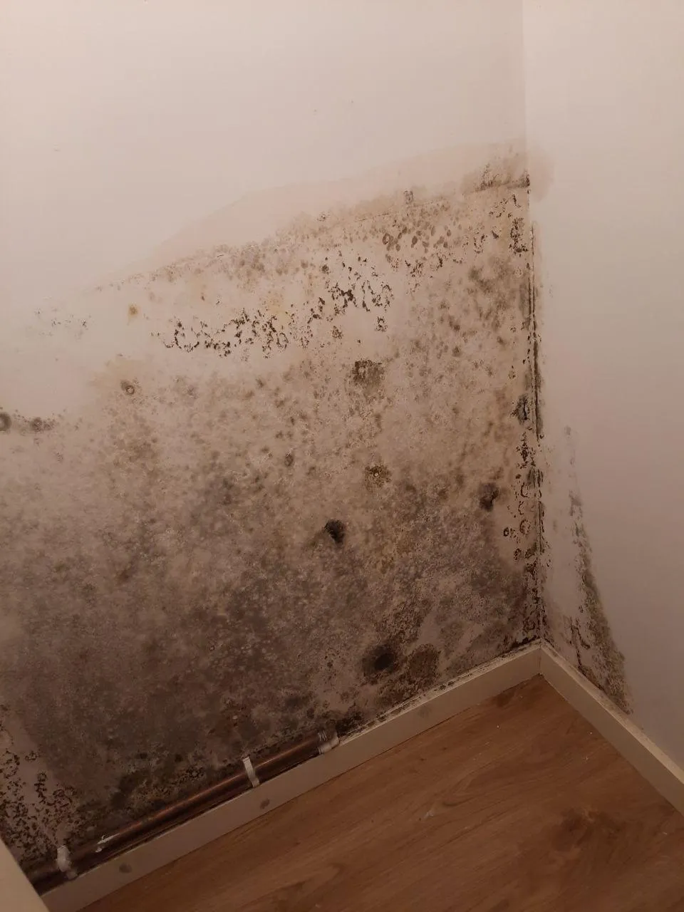 mould wall