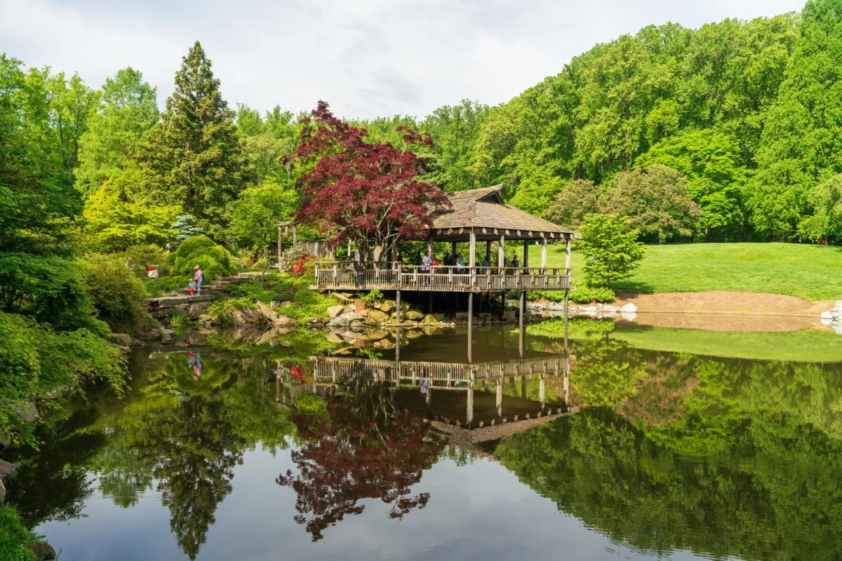 A Hidden Oasis in Maryland: Explore Brookside Gardens
