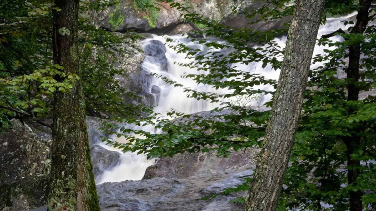 Unleash Your Inner Adventurer at Cunningham Falls State Park: Maryland’s Hidden Gem